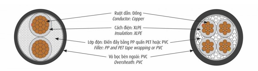 240308-cau-truc-day-cxv-10