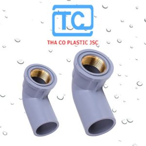 Co răng trong thau Thành Công