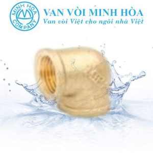 Cút đồng ren trong Minh Hòa