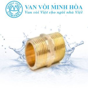 Kép đồng Minh Hòa