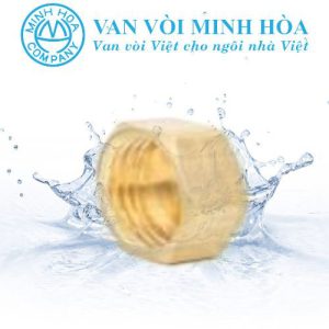 Nút bịt đồng ren trong Minh Hòa