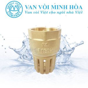 Rọ đồng MBV