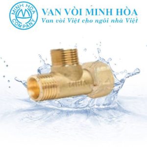 Tê cầu đồng Minh Hòa