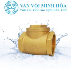 Van 1 chiều đồng lá lật MBV