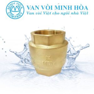 Van 1 chiều đồng lò xo MBV