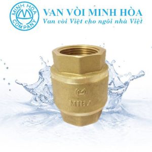 Van 1 chiều đồng lò xo MIHA