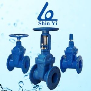 Đại lý van cổng lá van bọc cao su Shinyi