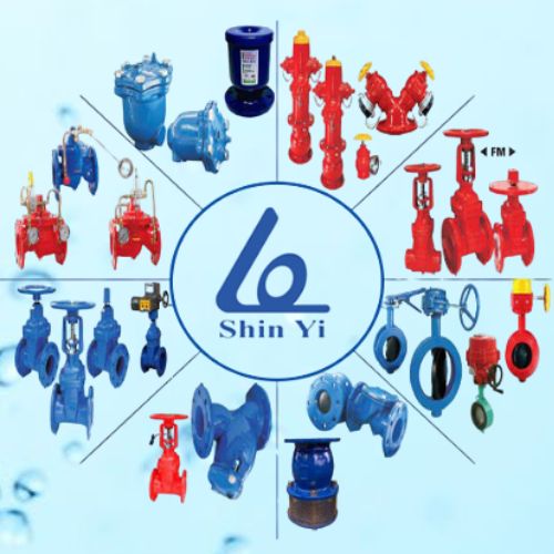 250221-cac-loai-van-shinyi