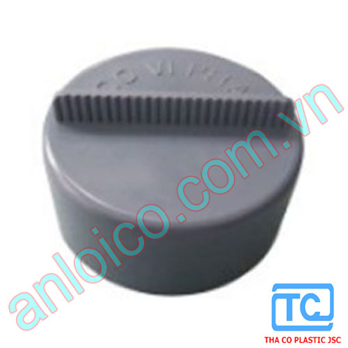 bit-duoi-ca-Thanh-Cong-(1).jpg