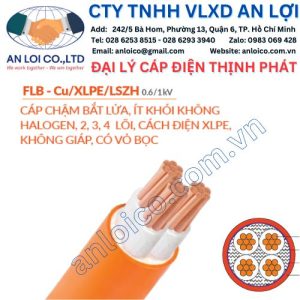 Đại lý cáp chậm bắt lửa FLB-Cu/LSZH Thịnh Phát
