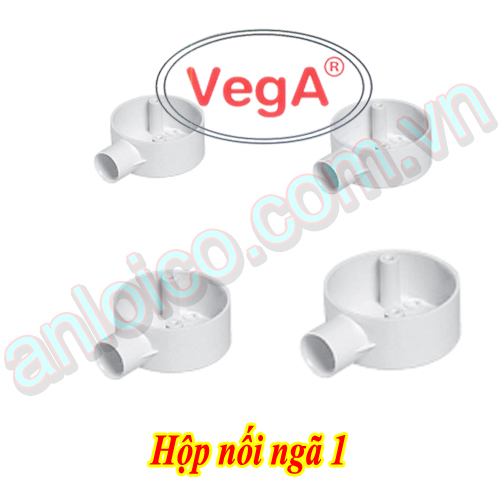 hop-noi-mot-nga.jpg