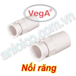 Nối răng Vega