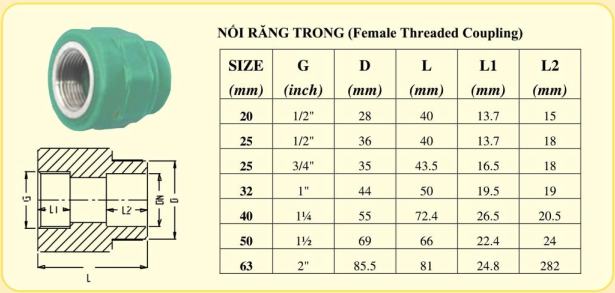 Noi-rang-trong-PPR-De-Nhat-(tskt).png