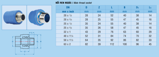 noi-RN-PPR-Binh-Minh-(1).png